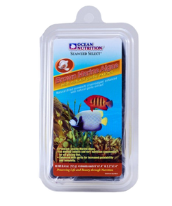 Algi Morskie Ocean Nutrition Brown Marine Algae 12g