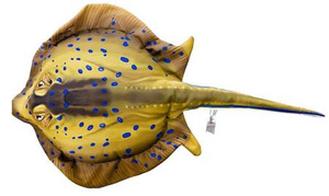 Poduszka Poduszka Ogończ nakrapiana mini 50 cm