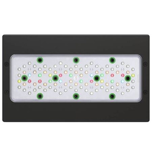 EcoTech Radion XR30 G5 FW LED Light do akwarium słodkowodnego