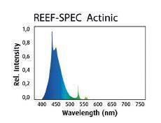 Red Sea Reef-Spec Actinic 80 W