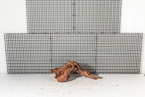 Dark Iron Wood K19 (0,62kg)