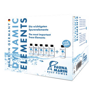 Fauna Marin Dynamic Elements