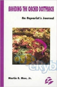 Breeding The Orchid Dottyback