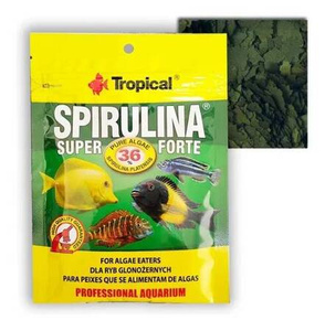 Pokarm w Płatkach Tropical Super Spirulina Forte 12g