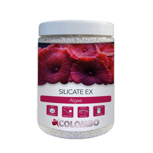 Colombo Silicate ex 1000 ml