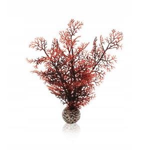 Oase biOrb Gorgonia S Szkarłatna 20 cm