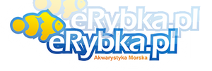 eRybka.pl Montaż i uruchomienie akwarium morskiego