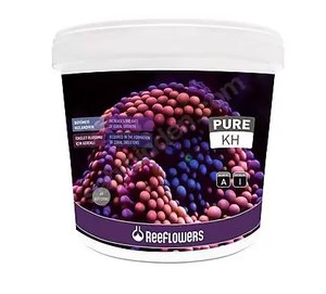 ReeFlowers Pure kH 5500 ml