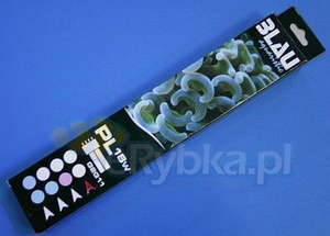 Blau White/Red 36W 2G11