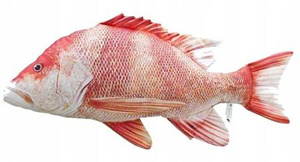 Poduszka Lucjan Czerwony 80 cm