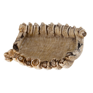 Reptile Nova Dekoracja 14x13x4cm REP-DISH-BONE