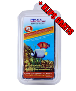 Algi Morskie Ocean Nutrition Brown Marine Algae 30g + Klips