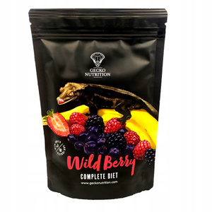 Gecko Nutrition Wildberry pokarm dla gekona 50g