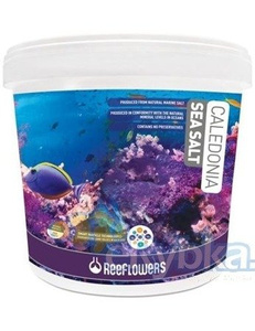 Sól do Akwarium ReeFlowers Caledonia Sea Salt 6,5kg
