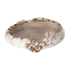 Reptile Nova Dekoracja 15,7x11,5x4cm REP-DISH-DINO