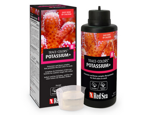 Red Sea Coral Colors B 500 ml