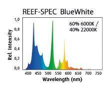 Red Sea Reef-Spec Blue White 54 W