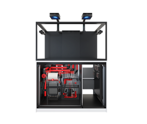Red Sea REEFER™ MAX S-550 G3 - Biały