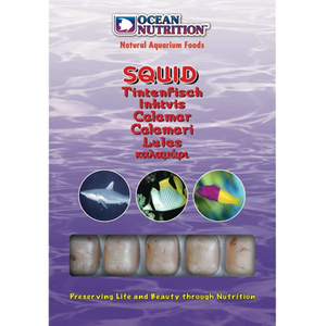 Ocean Nutrition Squid 100 g