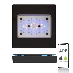 EcoTech Radion XR15 G6 BLUE 95W